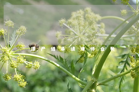 遗产继承请律师业务 遗产继承请律师业务