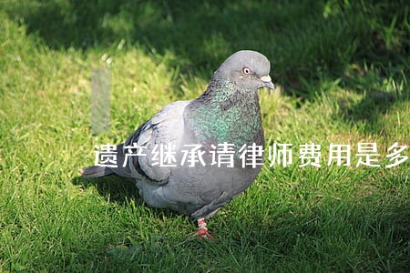 遗产继承请律师费用是多少钱 遗产继承请律师费用是多少钱