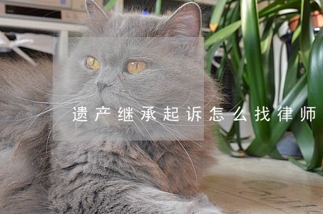 遗产继承起诉怎么找律师上诉再审