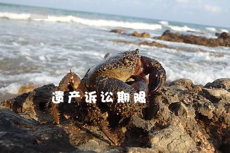遗产诉讼期限 遗产诉讼期限