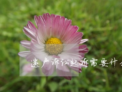 遗产诉讼起诉需要什么资料