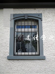 遗传学逾期数怎么计算 遗传学逾期数怎么计算