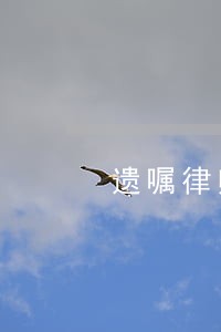 遗嘱律师法律咨询电话 遗嘱律师法律咨询电话