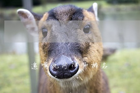 遗嘱执行律师排名 遗嘱执行律师排名