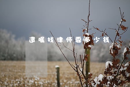 遗嘱找律师要多少钱 遗嘱找律师要多少钱