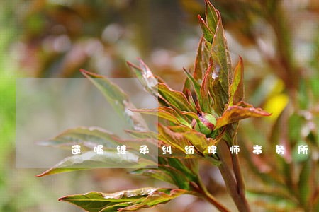 遗嘱继承纠纷律师事务所好 遗嘱继承纠纷律师事务所好