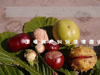 遗嘱财产纠纷法律咨询 遗嘱财产纠纷法律咨询