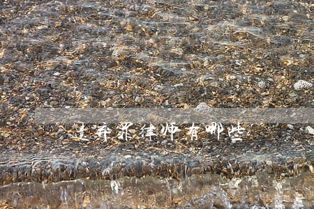 遗弃罪律师有哪些