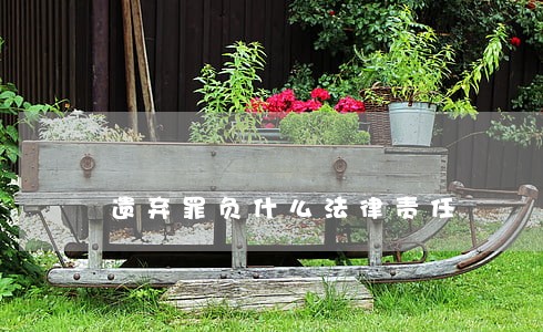 遗弃罪负什么法律责任 遗弃罪负什么法律责任