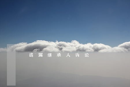 遗漏继承人诉讼 遗漏继承人诉讼