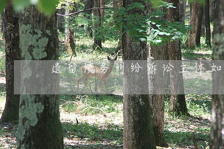 遗留债务纠纷诉讼主体如何确定 遗留债务纠纷诉讼主体如何确定