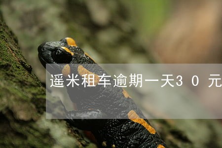 遥米租车逾期一天30元合法吗 遥米租车逾期一天30元合法吗