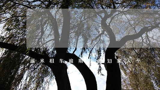 遥米租车逾期会通知家人不 遥米租车逾期会通知家人不