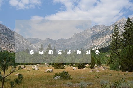 遥米租车逾期减免 遥米租车逾期减免