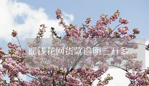 遥钱花网货款逾期三万多 遥钱花网货款逾期三万多