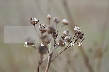 遭三亚一律师骚扰 遭三亚一律师骚扰
