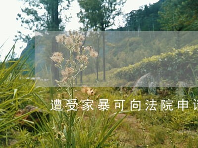 遭受家暴可向法院申请保护令 遭受家暴可向法院申请保护令