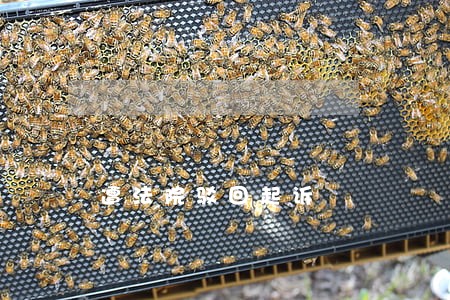 遭法院驳回起诉 遭法院驳回起诉