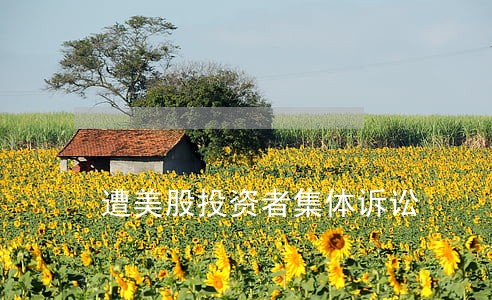 遭美股投资者集体诉讼