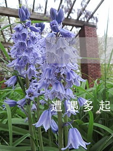 遭遇多起集体诉讼 遭遇多起集体诉讼