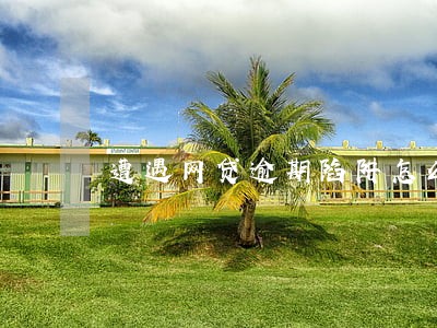 遭遇网贷逾期陷阱怎么办 遭遇网贷逾期陷阱怎么办
