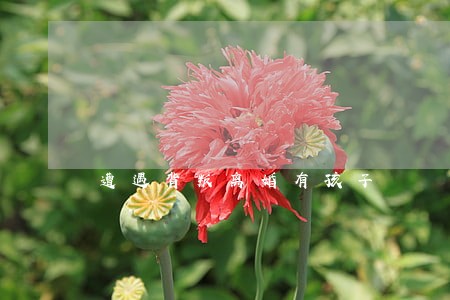 遭遇背叛离婚有孩子