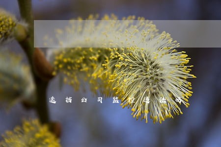 遮挡公司监控违法吗 遮挡公司监控违法吗