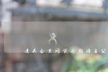 遵义企业网贷逾期修复公司 遵义企业网贷逾期修复公司