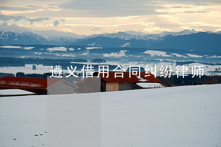 遵义借用合同纠纷律师 遵义借用合同纠纷律师