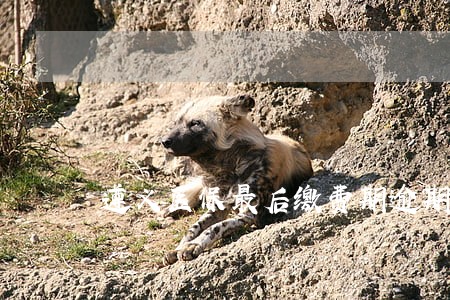 遵义医保最后缴费期逾期怎么办 遵义医保最后缴费期逾期怎么办