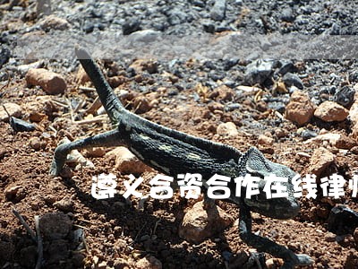 遵义合资合作在线律师咨询