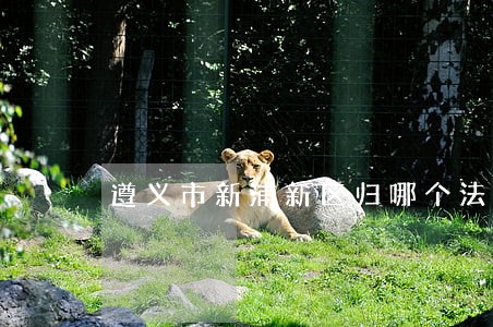 遵义市新浦新区归哪个法院管辖 遵义市新浦新区归哪个法院管辖
