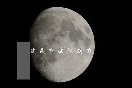 遵义市法院刘力