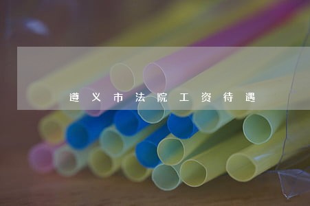 遵义市法院工资待遇