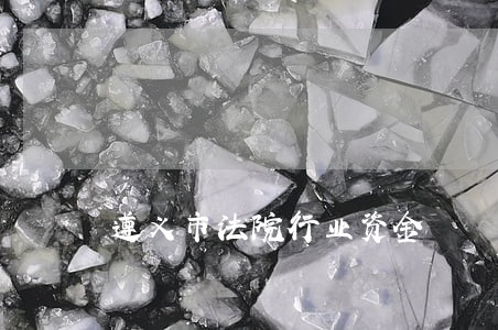 遵义市法院行业资金