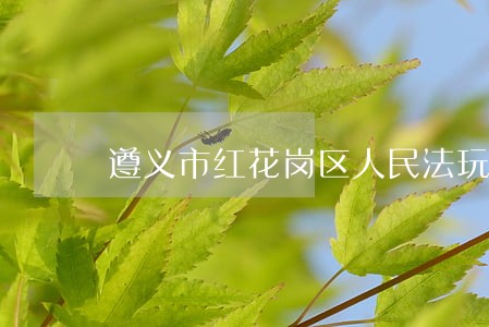 遵义市红花岗区人民法玩