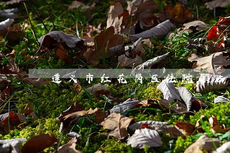 遵义市红花岗区法院顾占雷简历 遵义市红花岗区法院顾占雷简历