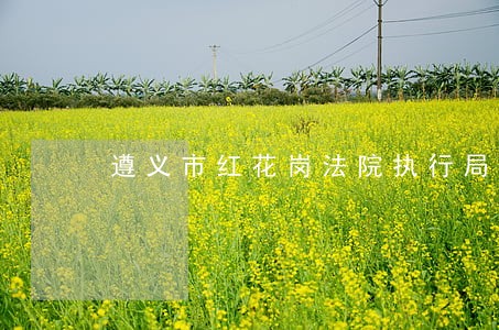 遵义市红花岗法院执行局局长