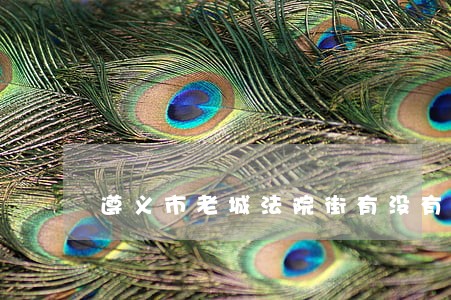 遵义市老城法院街有没有小姐 遵义市老城法院街有没有小姐