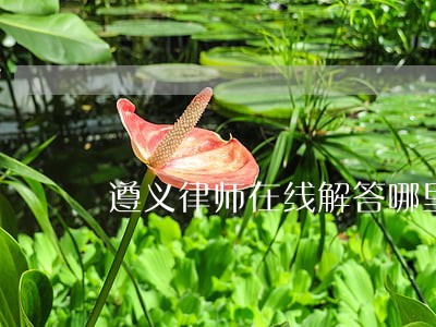 遵义律师在线解答哪里好