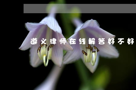 遵义律师在线解答好不好 遵义律师在线解答好不好