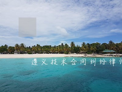 遵义技术合同纠纷律师