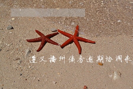 遵义播州债务逾期协调未果