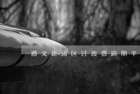 遵义新蒲区过渡费逾期半年不发 遵义新蒲区过渡费逾期半年不发