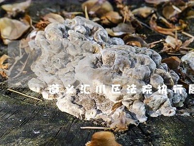 遵义汇川区法院执行局黄刚 遵义汇川区法院执行局黄刚