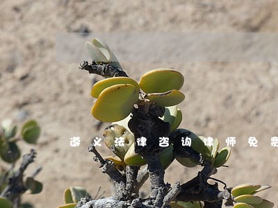 遵义法律咨询律师免费 遵义法律咨询律师免费