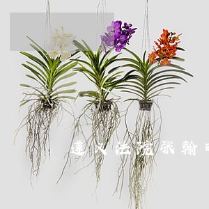 遵义法院张翰时 遵义法院张翰时