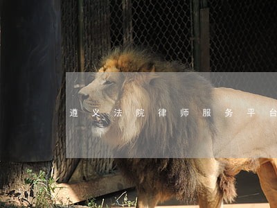 遵义法院律师服务平台网址