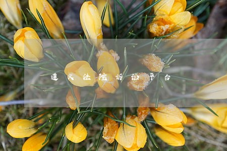 遵义法院诉讼平台 遵义法院诉讼平台
