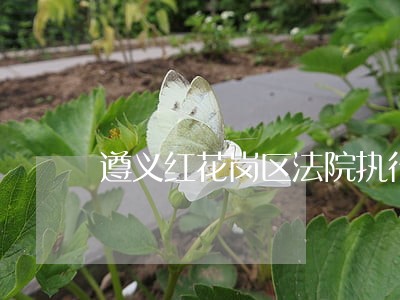 遵义红花岗区法院执行黑名单人员 遵义红花岗区法院执行黑名单人员